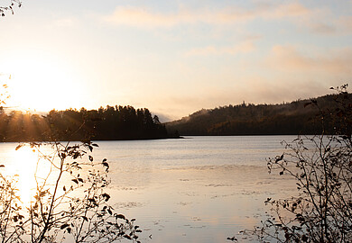 Aussicht
